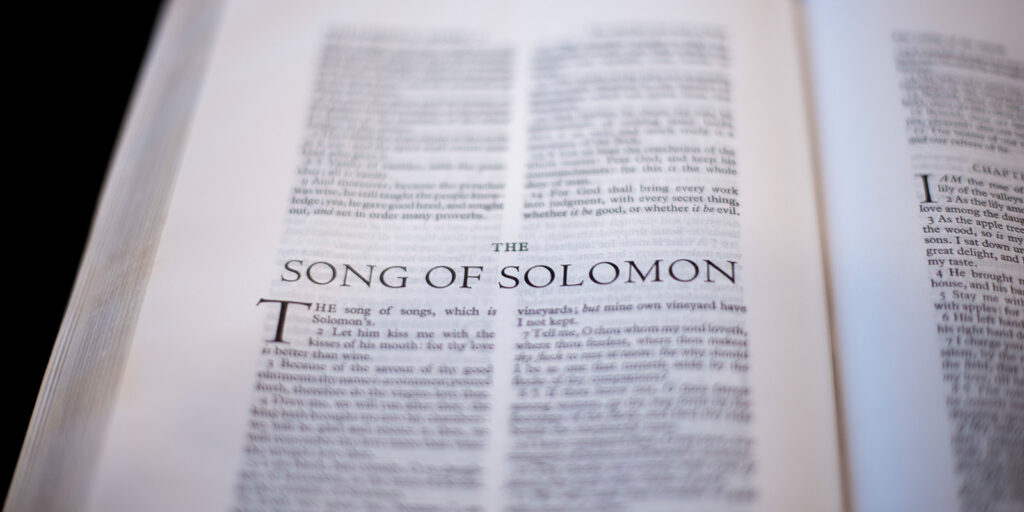 themes from Song of Solomon