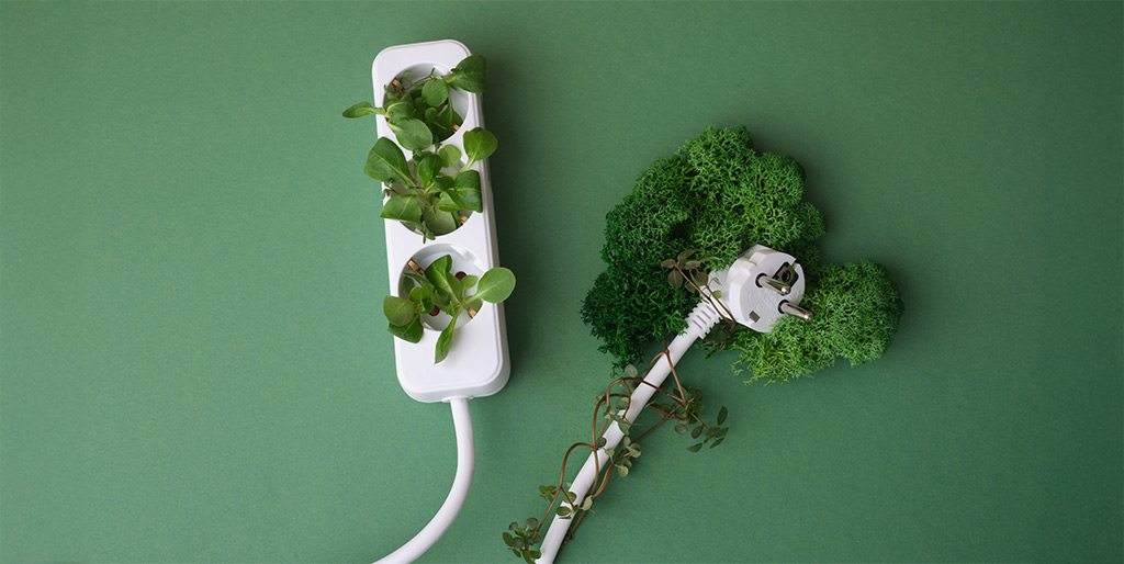 plants growing out of power cord.