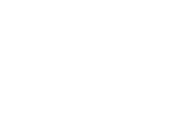 LoisEvans_Logo